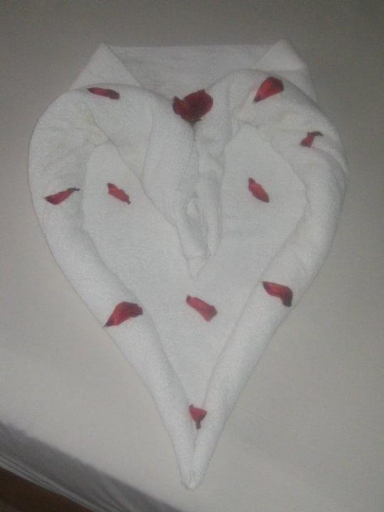 Überraschung Parrotel Aqua Park Resort