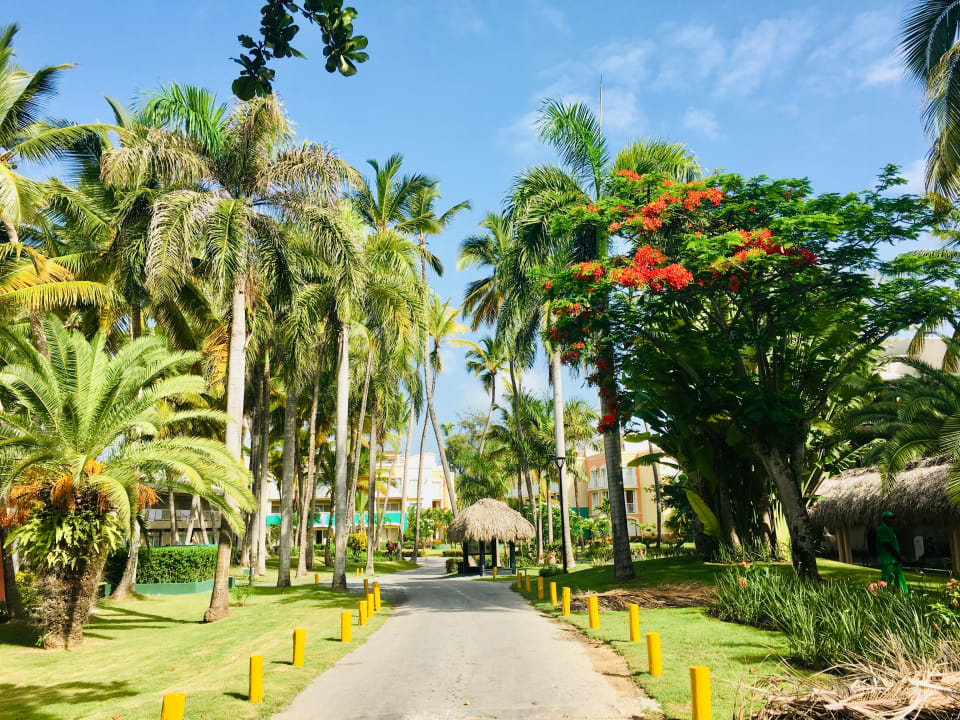 Gartenanlage Hotel Grand Palladium Palace Resort, Spa & Casino