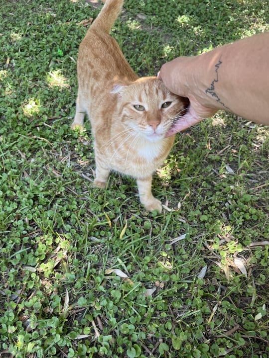 Gartenanlage Sunis Kumköy Beach Resort Hotel & Spa