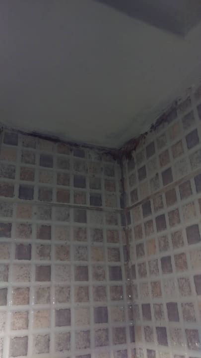 Schimmel Grand Yazici Club Marmaris Palace