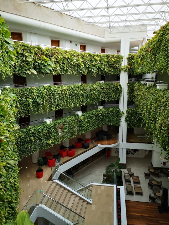 Lobby Alexandre Hotel Gala