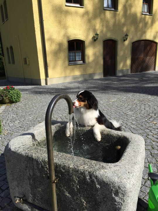 Außenbereich mit unserem Johnny Gruppenferienhaus Landhaus St.Oswald