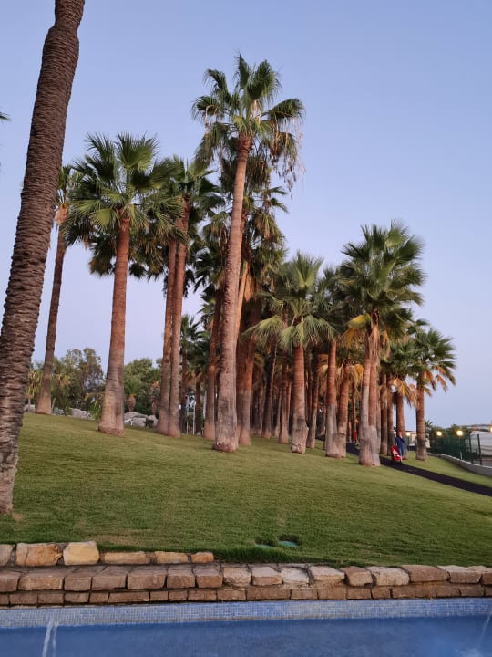 Gartenanlage Monachus Family Resort Sorgun
