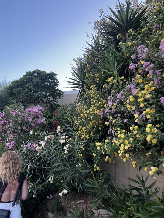 Gartenanlage Seaside A Lifestyle Resort