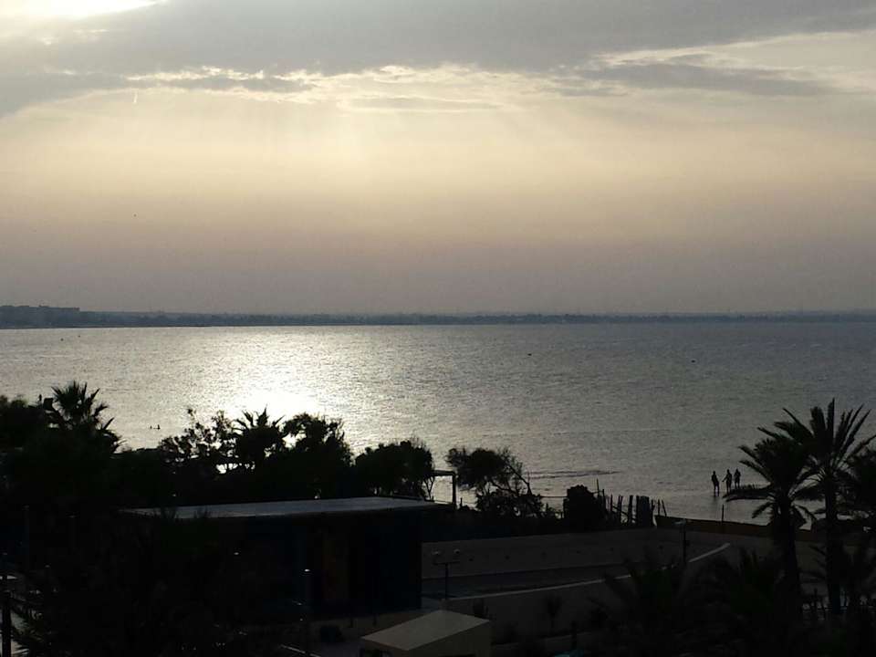 Amazing Hotel Rosa Beach