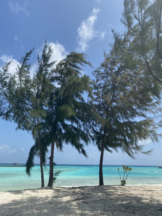 Strand Summer Island Maldives