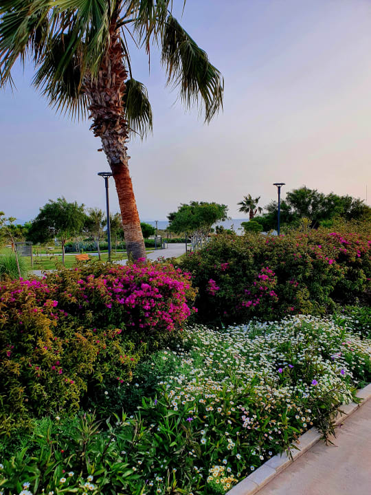 Gartenanlage Aquasis De Luxe Resort & Spa