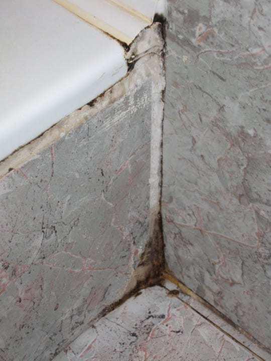 Schimmel Hotel Aktinia