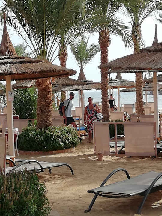 Strand Pickalbatros Palace Resort