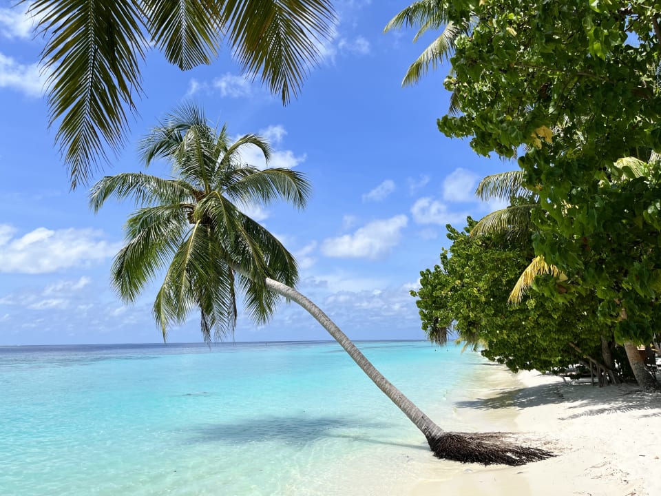 Strand Vilamendhoo Island Resort & Spa