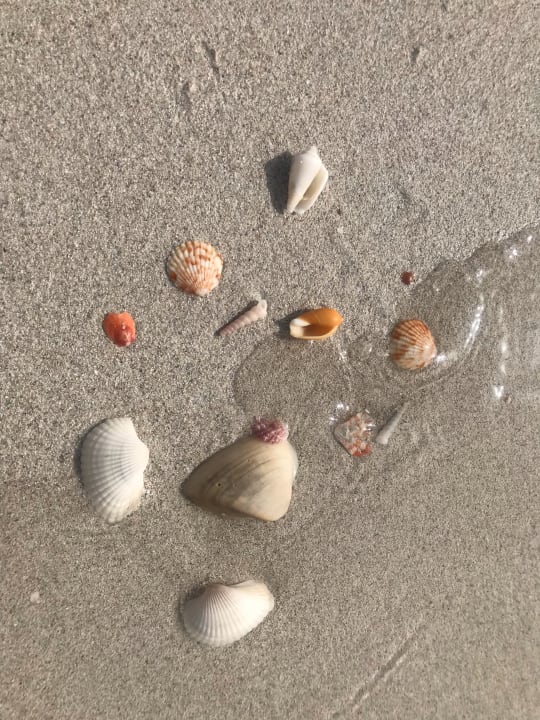 Strand Park Hyatt Abu Dhabi Hotel and Villas