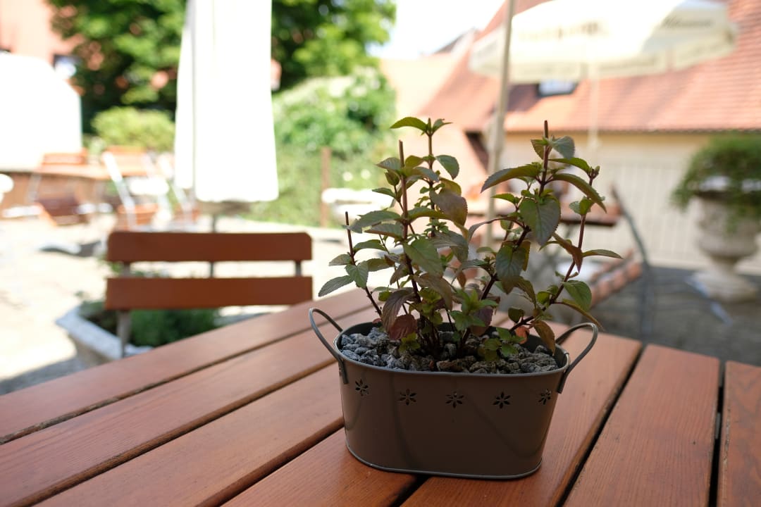 Gastro Romantica Hotel Blauer Hecht