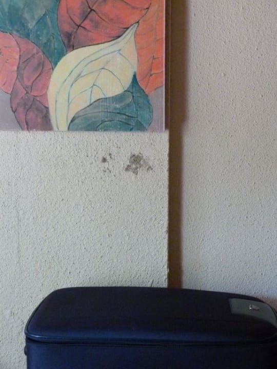 Schimmel an der Wand Occidental Punta Cana