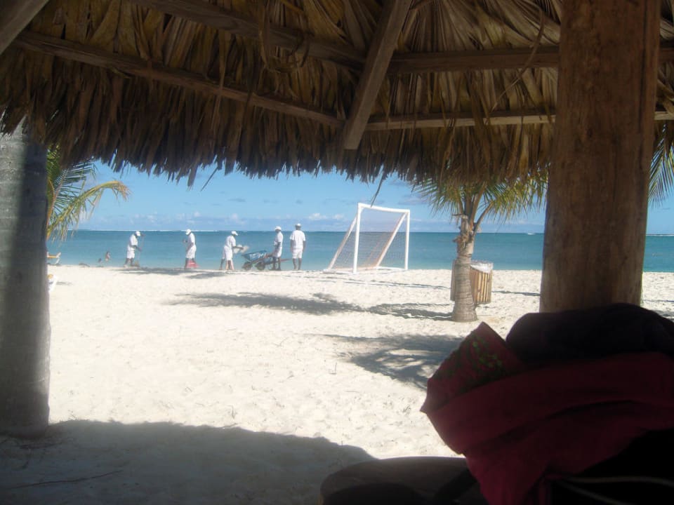 Tägliche Strandreinigung Catalonia Punta Cana - All Inclusive