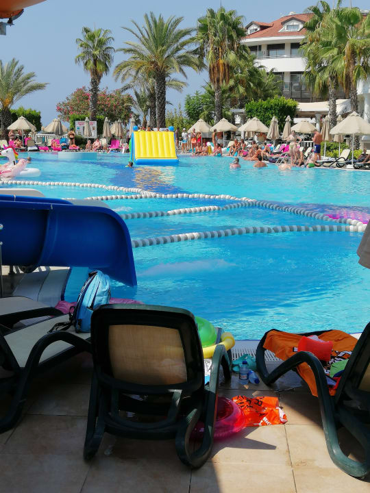 Pool Alba Queen Hotel