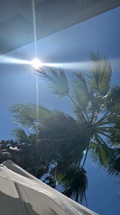 Pool Well Palace Side