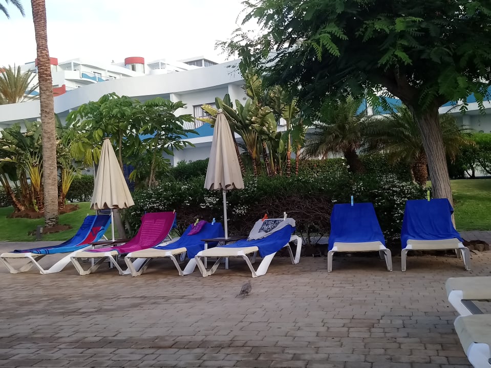 Pool R2 Pajara Beach