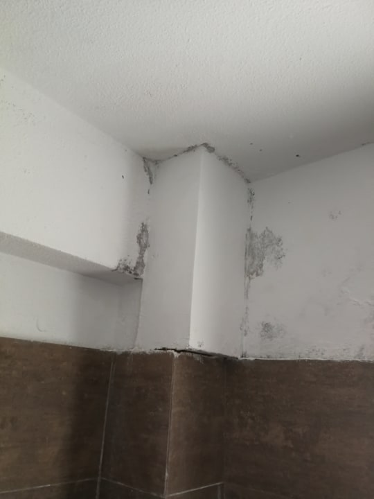 Zimmer Sandy Beach Resort