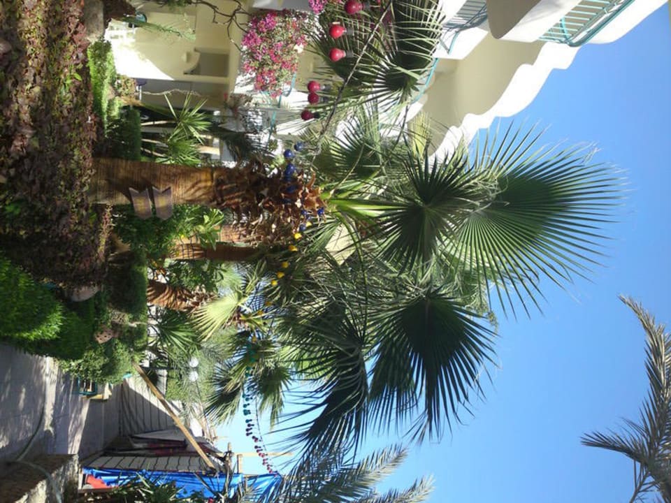 Große Palme Bella Vista Resort Hurghada