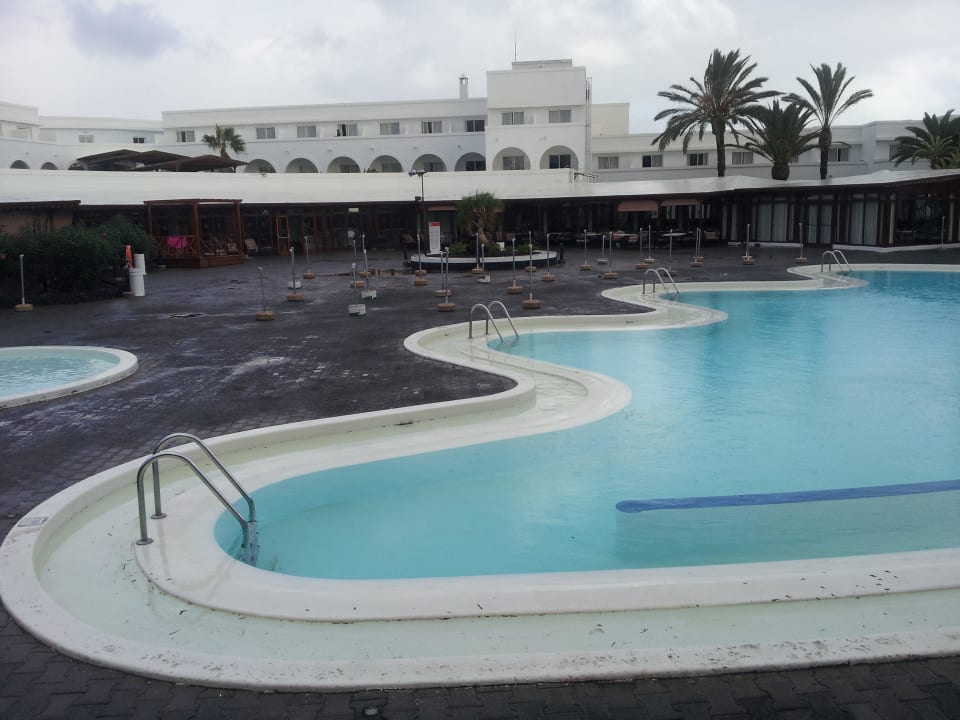 November Rain Relaxia Olivina