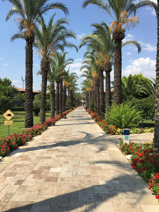 Gartenanlage TUI BLUE Palm Garden