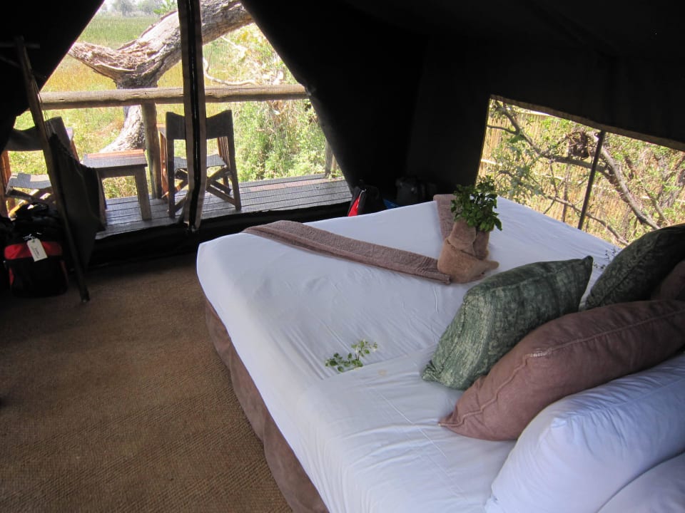 Zelt Innenansicht Oddballs Enclave Camp