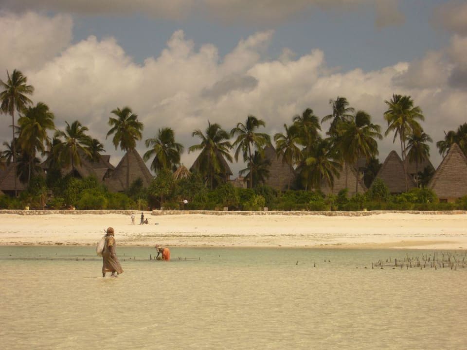 Hotelanlage  Neptune Pwani Beach Resort & Spa