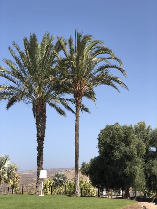 Ausblick Salobre Hotel Resort & Serenity