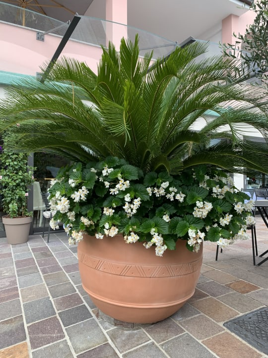 Sonstiges Relax Hotel Villa La Gardenia & Oleandra