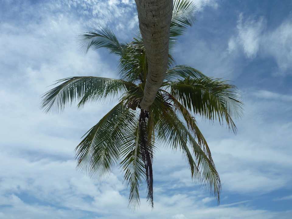 Nd hinter dem The Reef Restaurant Kuramathi Maldives