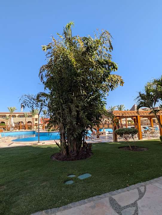 Außenansicht Sentido Mamlouk Palace Resort