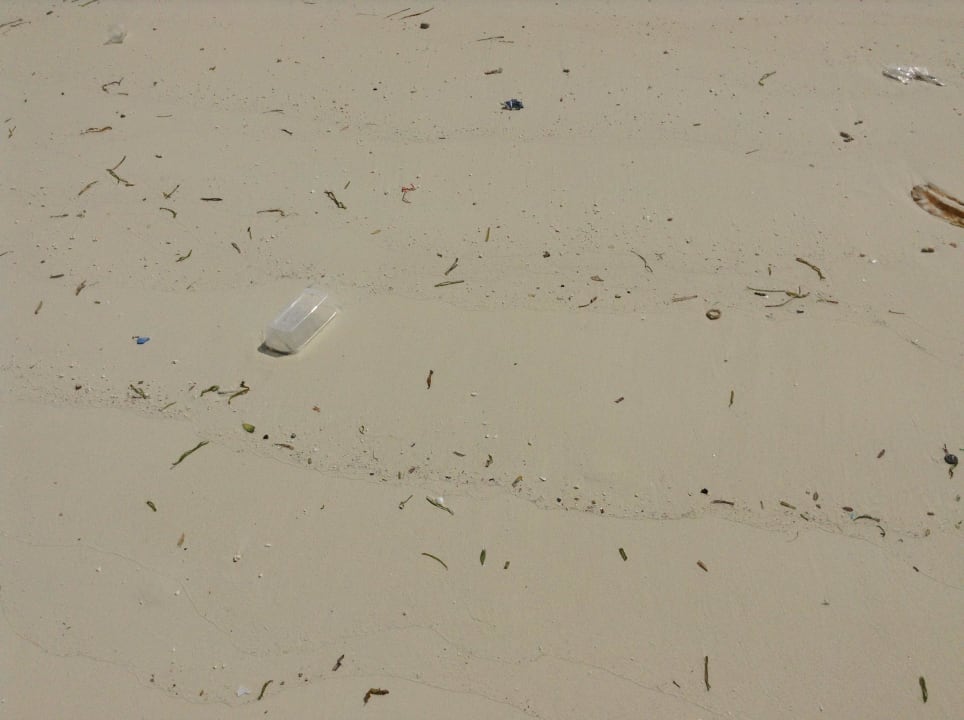 Strand JBV Veligandu Maldives Resort Island