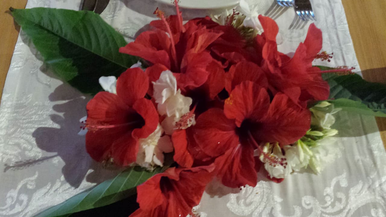 Sonstiges Hotel Defne Garden