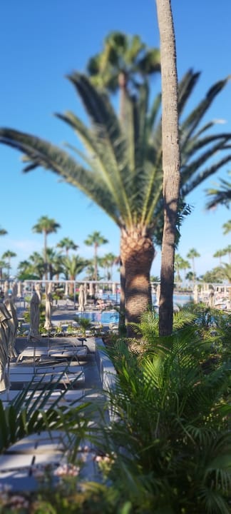 Gartenanlage Hotel Riu Gran Canaria