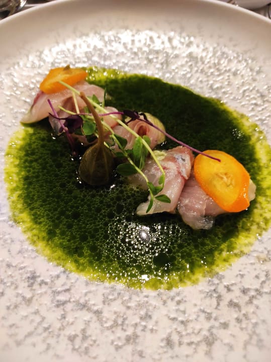 Gastro Acanthus Cennet Barut Collection