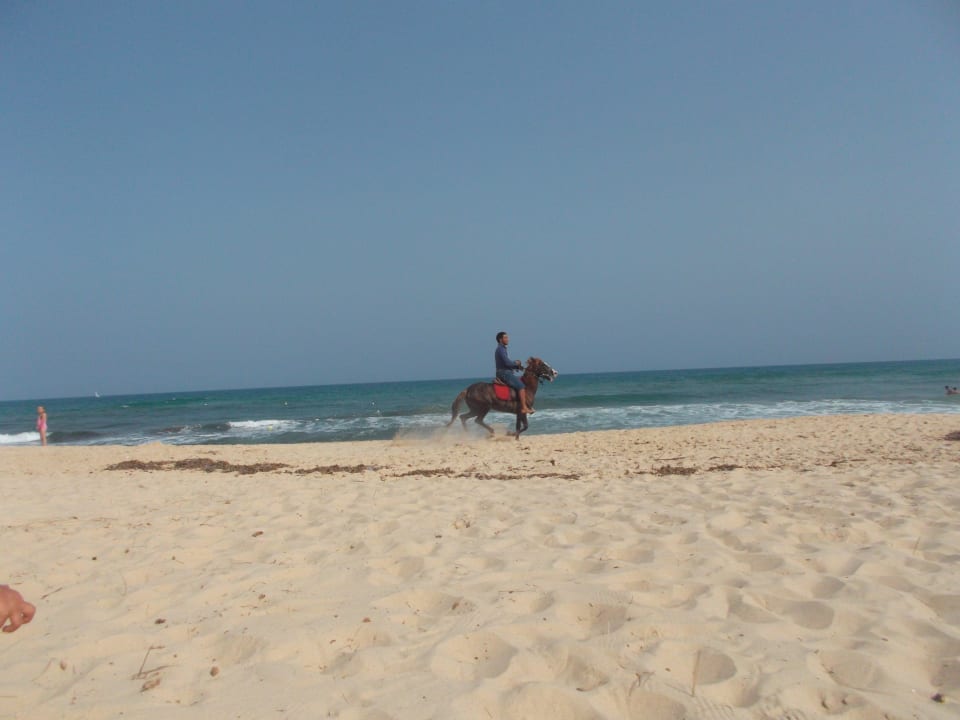 Pferde Omar Khayam Resort & Aquapark