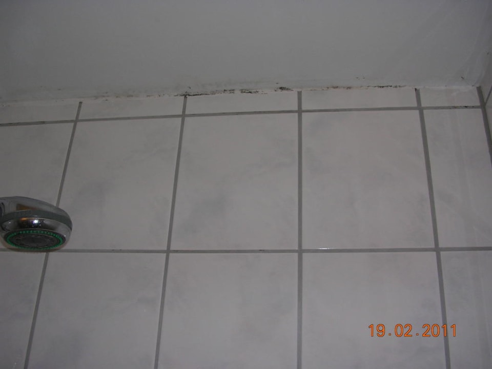 Schimmel im Bad Ferienpension Mittag