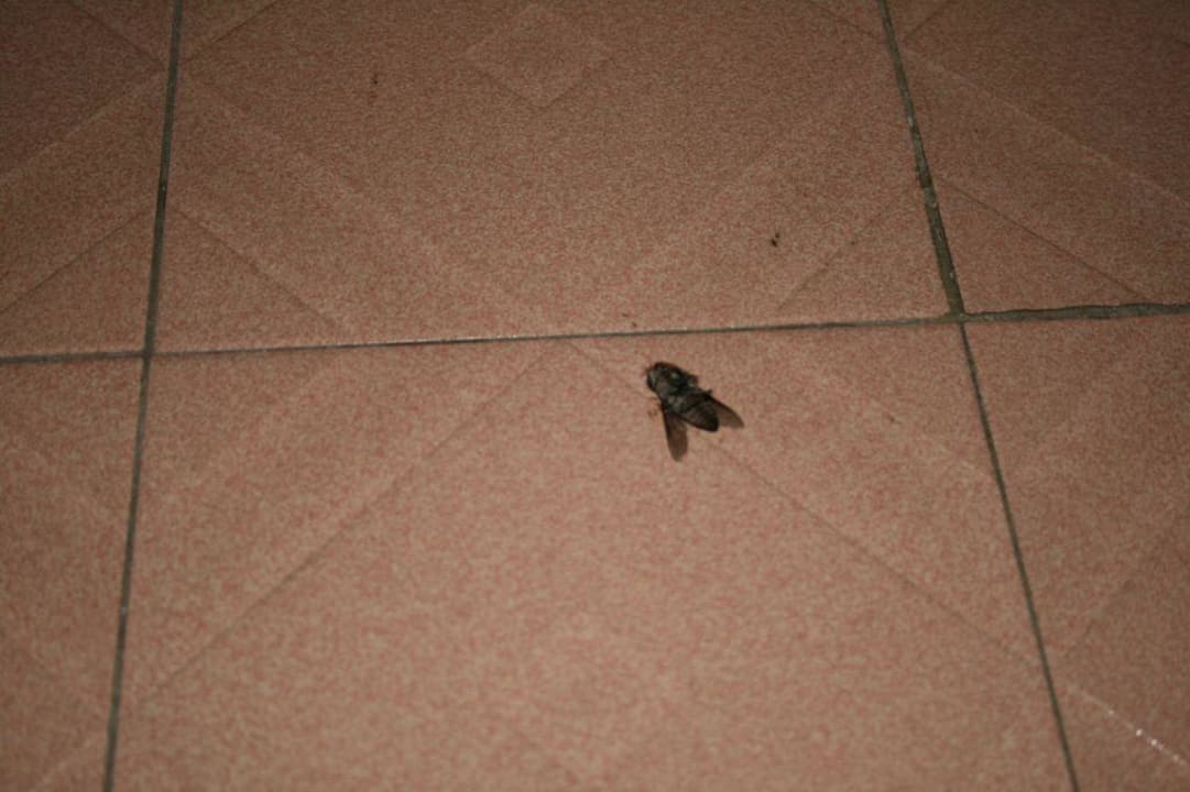 Essen im Frühstücksraum HOLIDAY VILLA BEACH RESORT & SPA LANGKAWI KEDAH