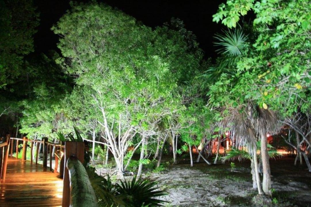 Stege bei Nacht Grand Palladium Kantenah Resort & Spa