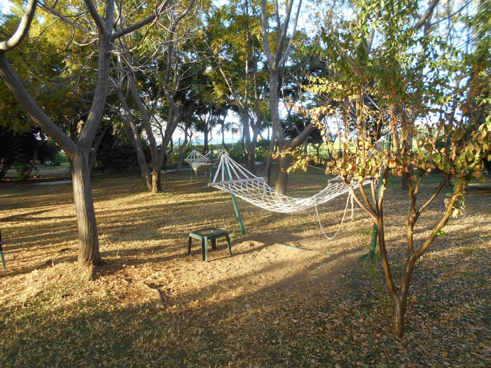 Hängematten für Entspannung im Schatten Belconti Resort Hotel
