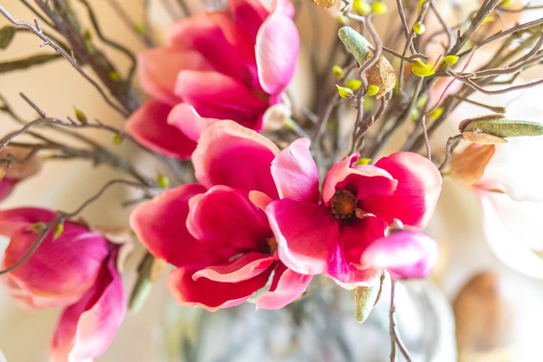 Sonstiges Landhaus Gastager