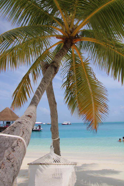 Strand Sun Siyam Vilu Reef