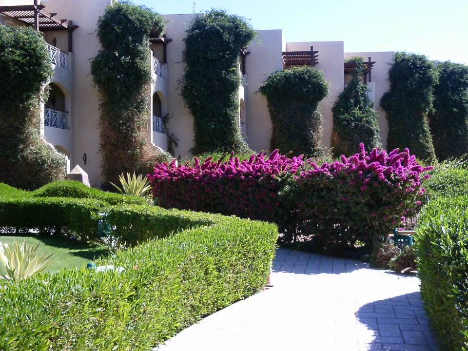 Hecken Prima Life Makadi Resort