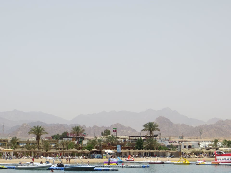 Sinaigebirge Ghazala Gardens