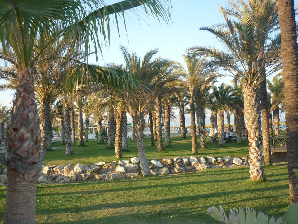 Paradijsje rechtover het hotel Hotel Puente Real