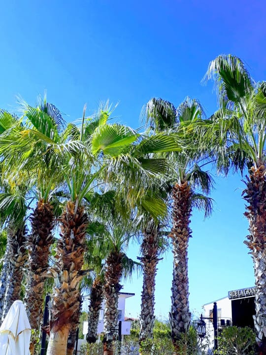 Sonstiges Castival Hotel