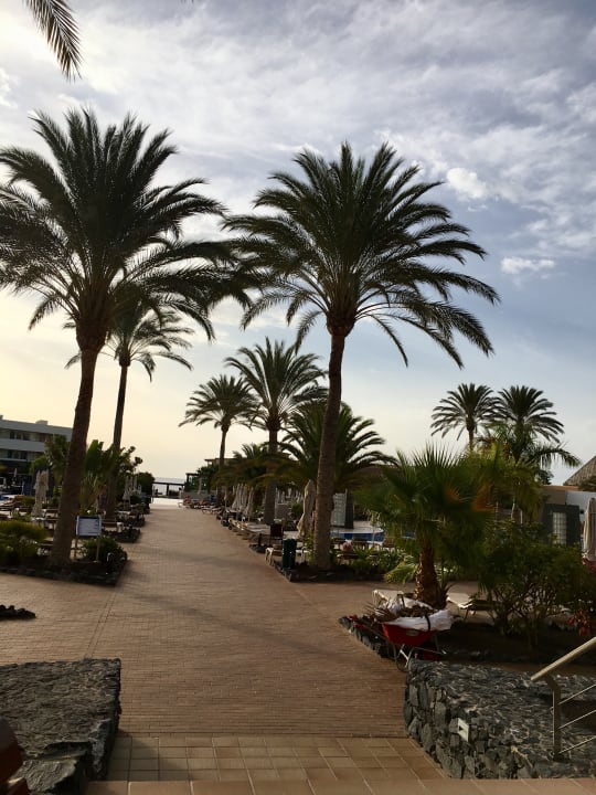 Anlage Iberostar Waves Gaviotas Park