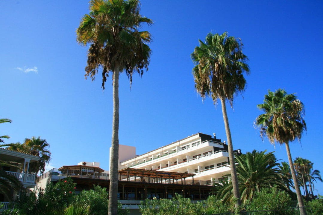 Hotel  Melia La Palma Hotel