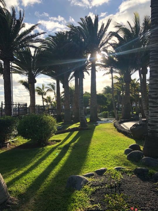 Gartenanlage Hipotels La Geria