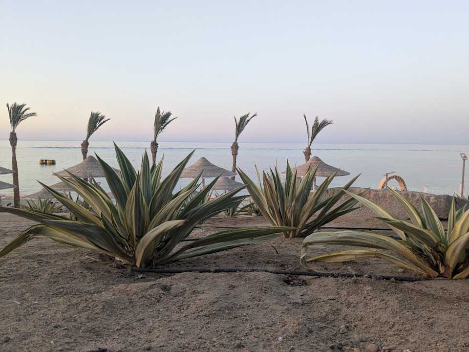 Strand Pickalbatros Villaggio Resort - Portofino